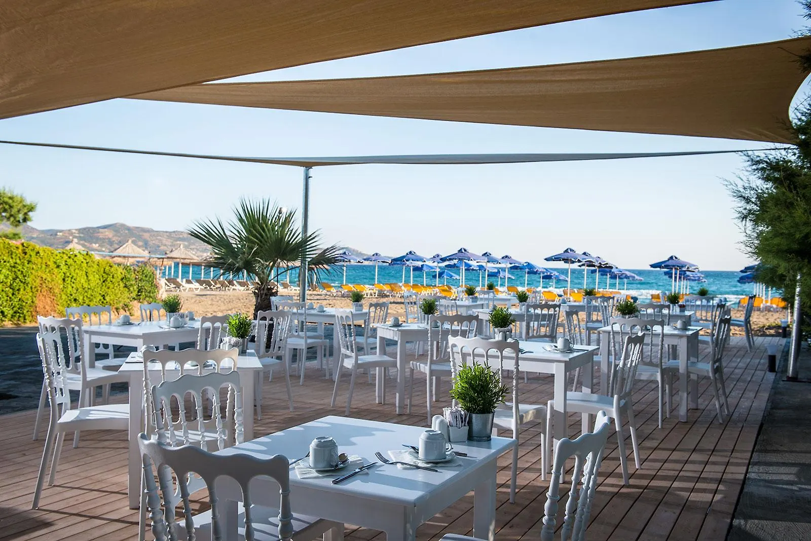Hotel Enorme Armonia Beach (Adults Only)